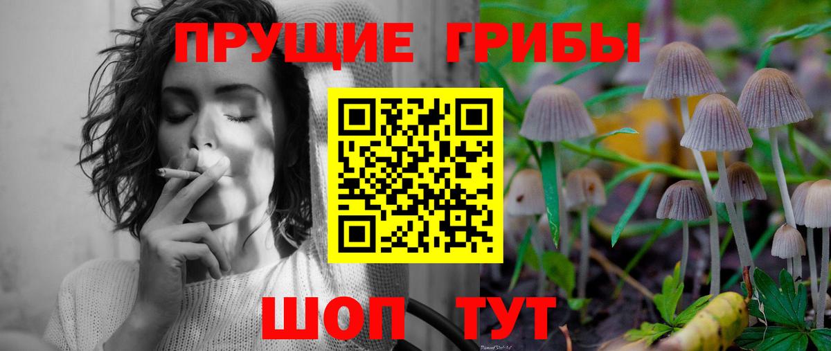 Галлюциногенные грибы мухоморы Среднеуральск